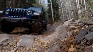  Offroad Fun on Bunce School Road