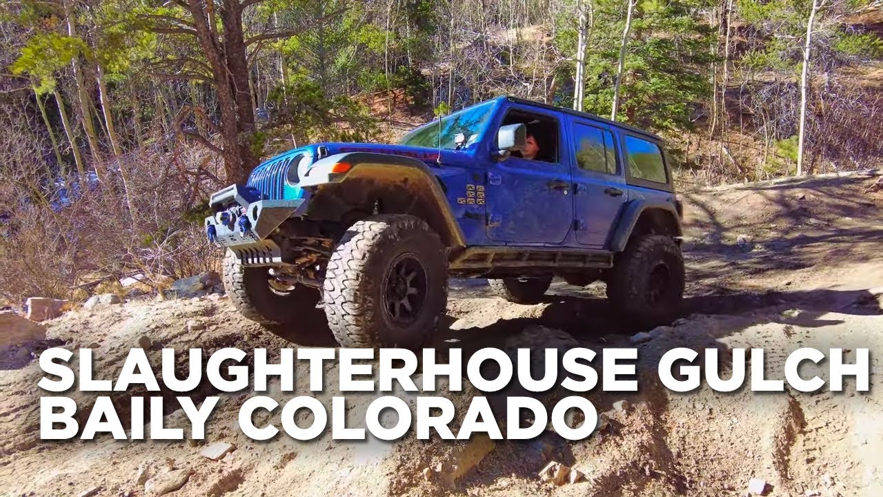  Slaughterhouse Gulch Bailey Colorado