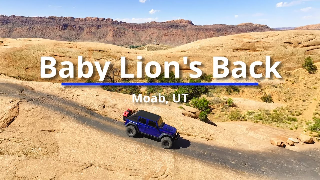 This ain’t your daddy’s Lion Back!