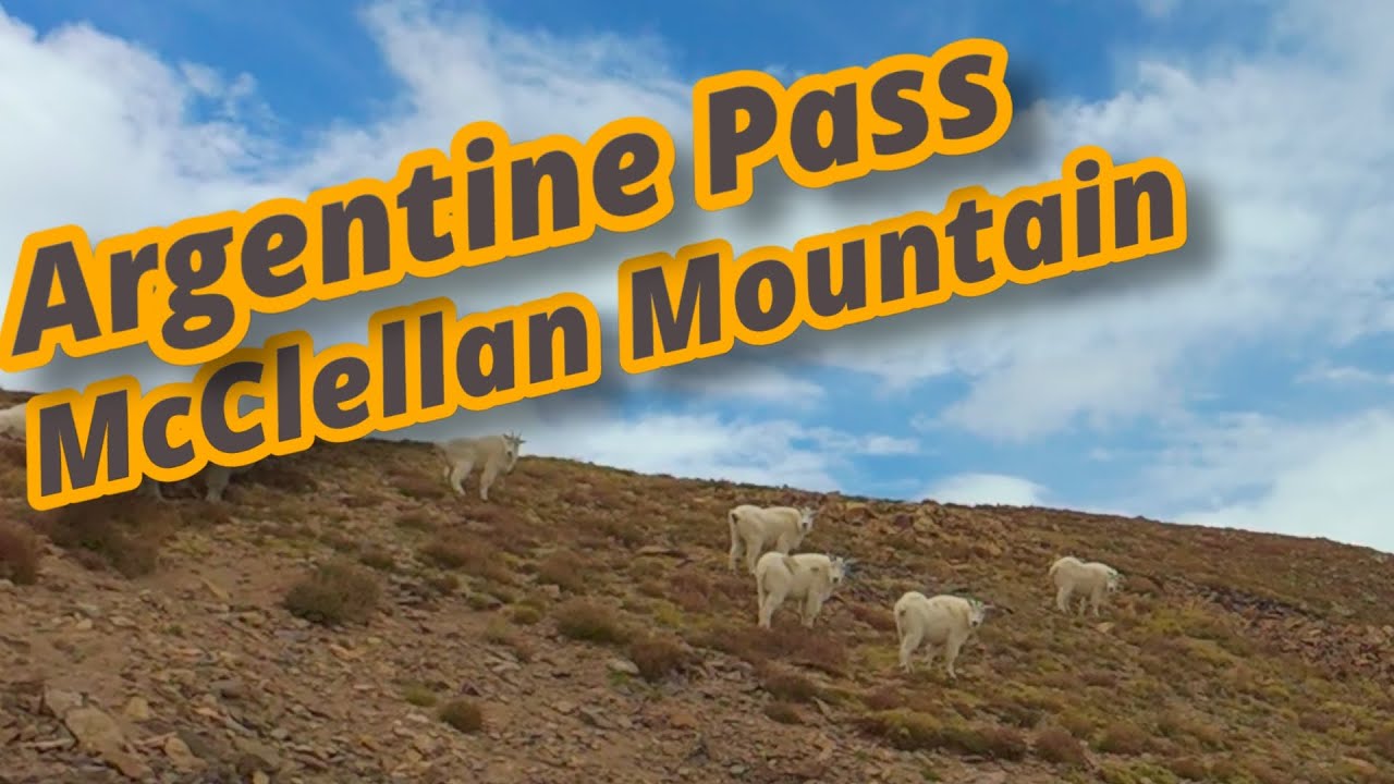  High Mountain Adventure – Argentine Pass and McClellan Mountain