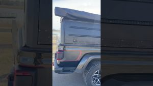 Bagheera Gets an Upgrade