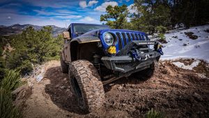 The DEADLIEST trail around……for drones